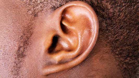 How Do Sounds Reach Our Ears?
