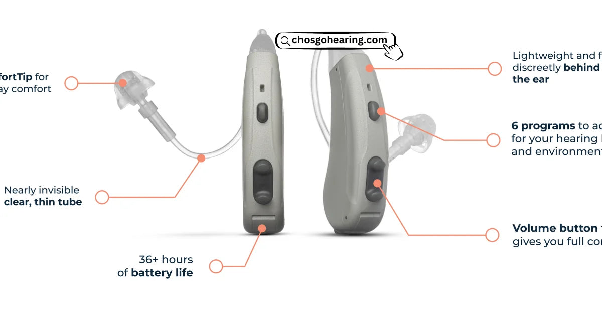 Lexie Hearing Aids A Comprehensive Overview CHOSGO