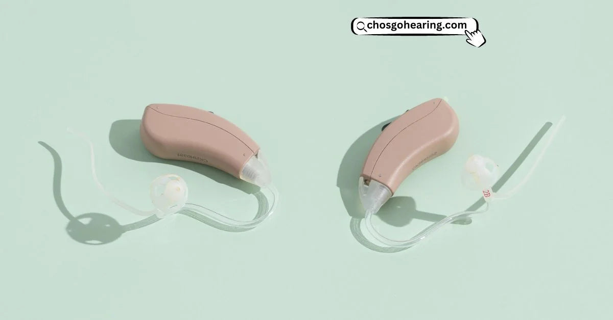 The Rechargeable Hearing Aids For The Deaf Bonce. CHOSGO