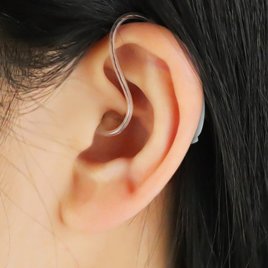 Hearing Amplifiers with Noise Cancelling