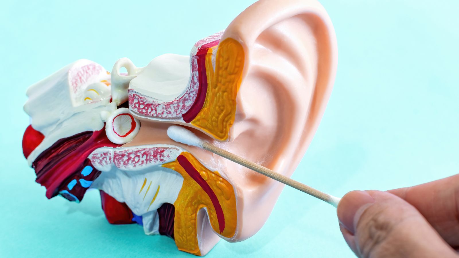 Best hearing aids